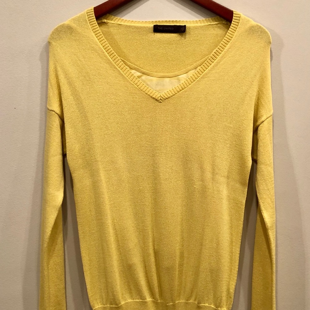 THE LIMITED V-Neck Sweater with Camisole